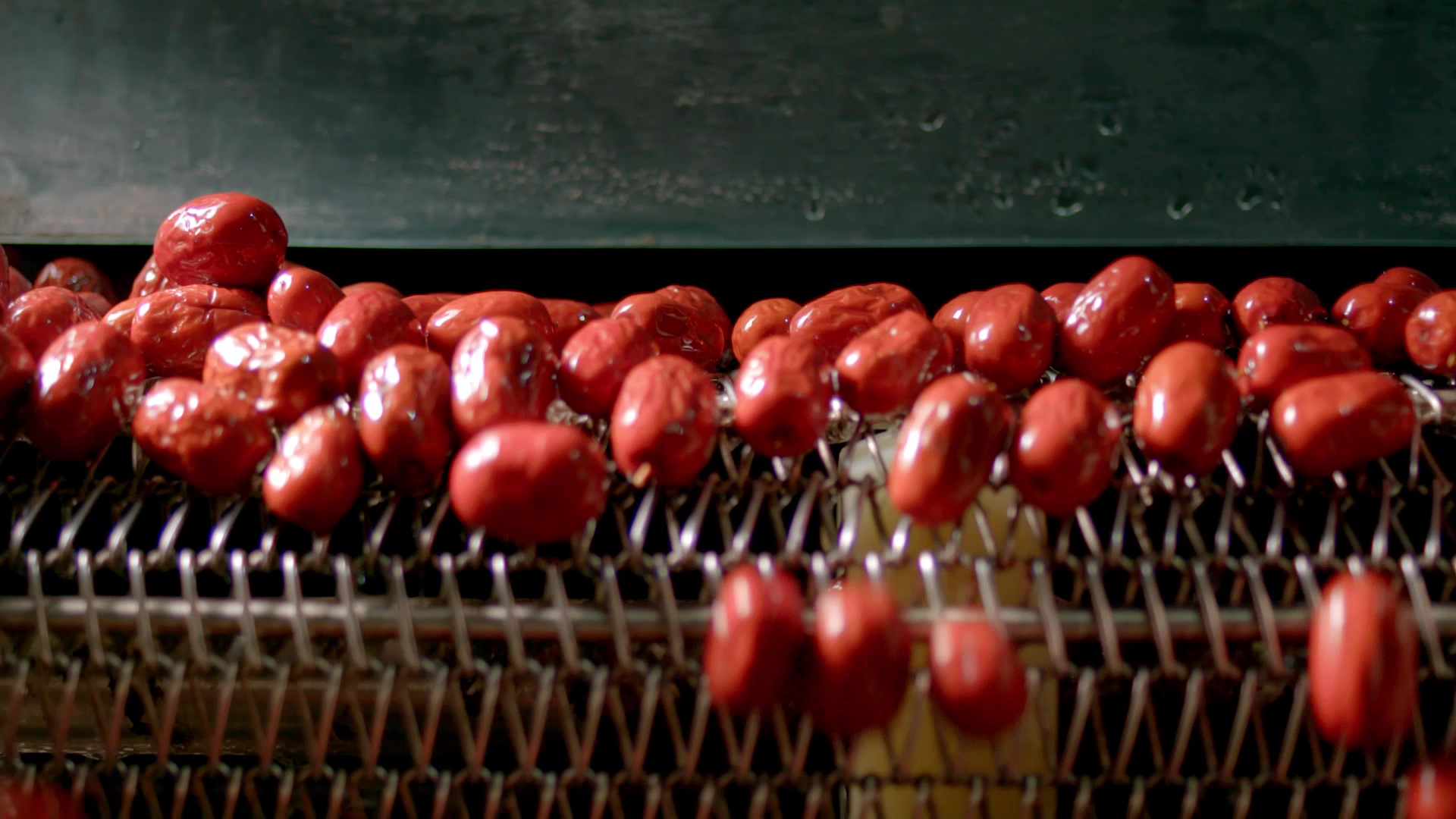 Ï´åª4.jpg Ï´åª4.jpg