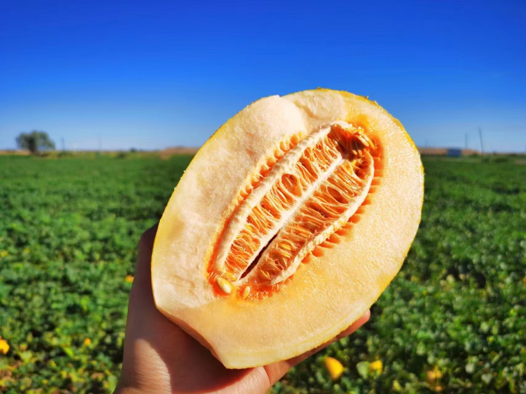 1753760109779984.png ͼƬ5.png