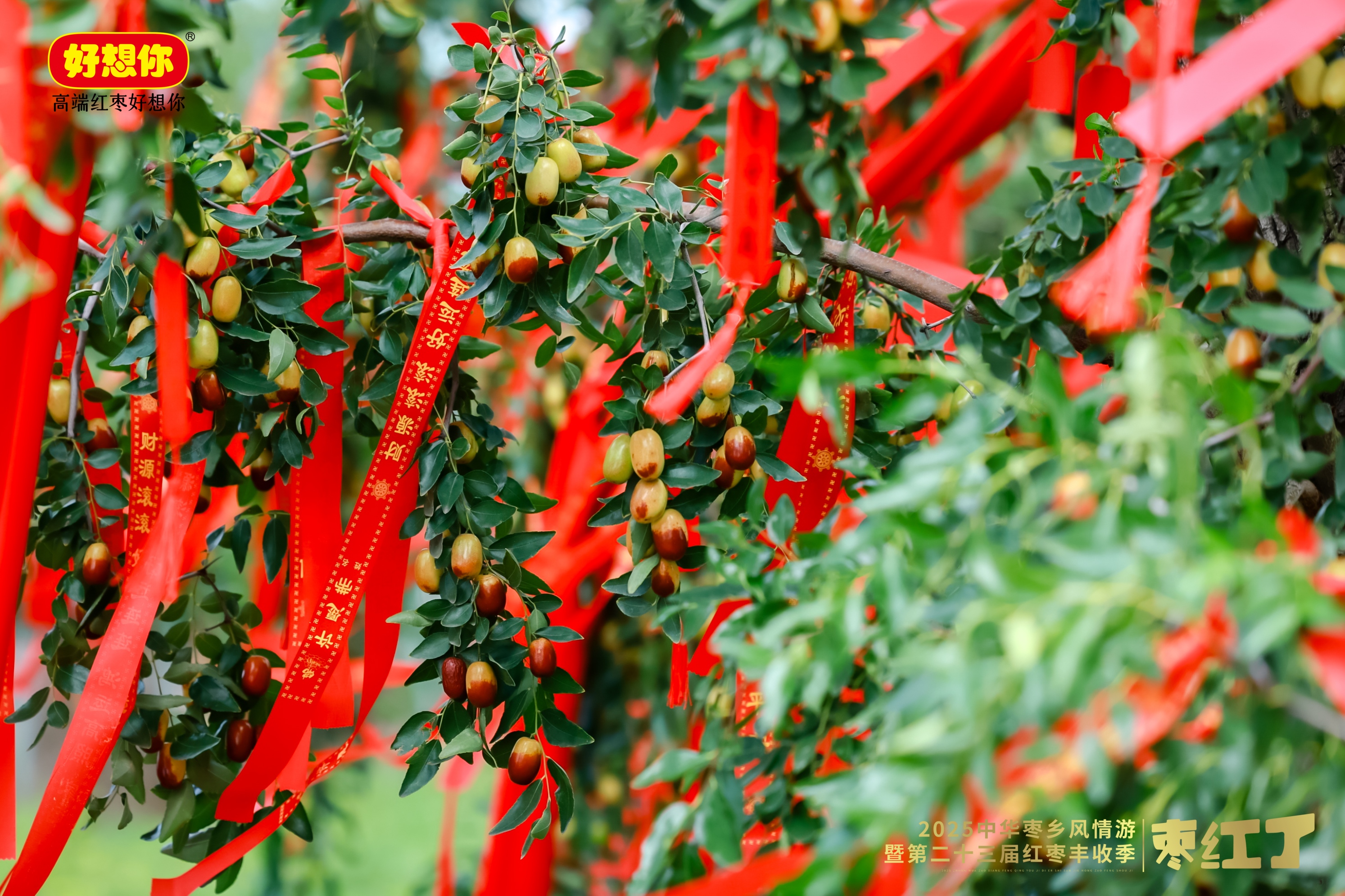 1758531529532346.jpg A5F_0276-opq3953106482.jpg